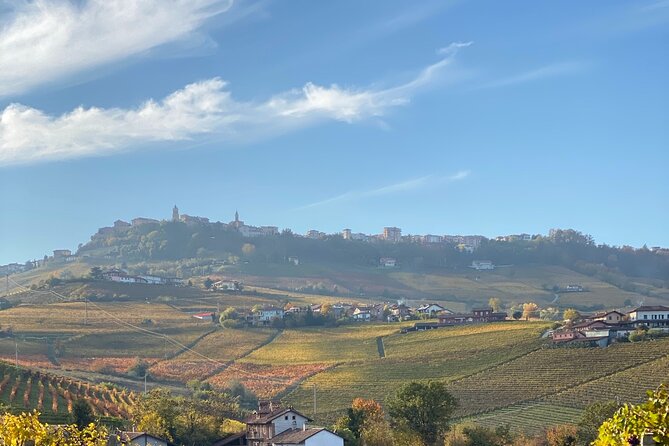 Private Barolo / Barbaresco - Piedmont Wine Tours and Tastings - Experience Highlights