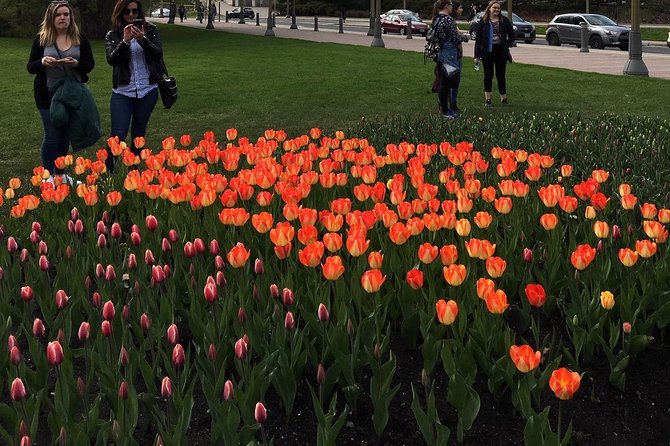 Private Day Tour OTTAWA Tulip Festival May 10-20 From MONTREAL - Pricing Details