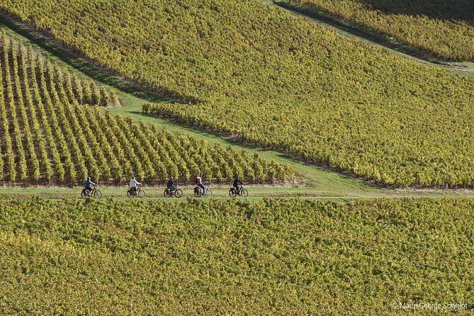 Private E-Bike Tour With a Guide in the Vineyards of Chablis - Additional Information