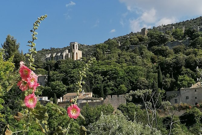 Private Full Day Tour Villages of the Luberon From Avignon - Final Words