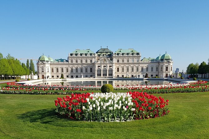 Private Layover Tour in Vienna - Contact and Support Information