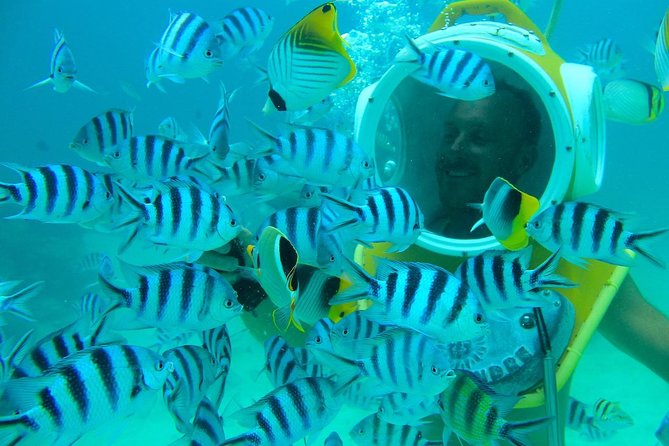 Private Tour: Aqua Safari Scuba Diving - Private Experience Details
