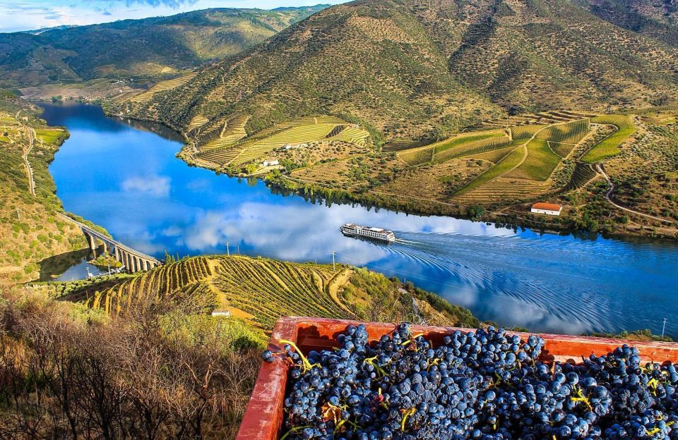 Private Tour: Douro Valley Wine and Food From Oporto - Inclusions and Exclusions