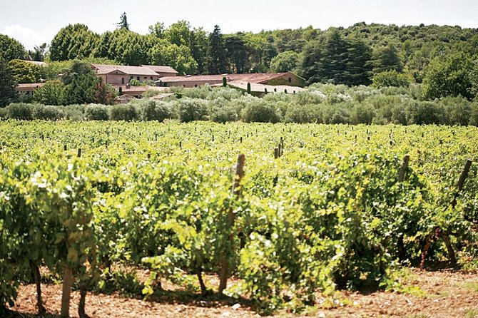 Provence Wine Tasting - Tour Experience Itinerary