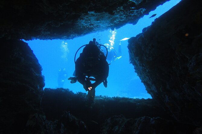 Qualified Diver 1 Tank Dive in Mykonos - Requirements and Restrictions