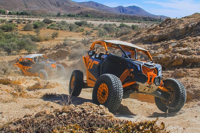 Real Baja Tour Aboard an Off-Road RZR in Los Cabos  - Cabo San Lucas - Important Information