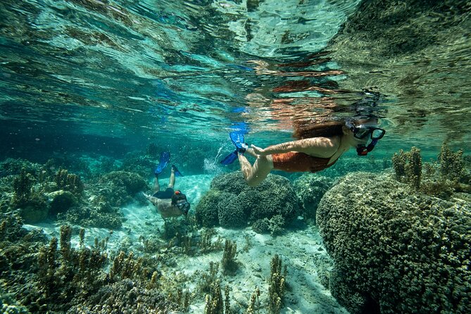 Reef Discovery Luxury Private Snorkeling Lagoon Tour - Directions