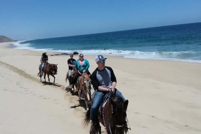Ride a Horse Around the Beautiful Beaches of Todos Santos. - Trip Through Baja California Sur