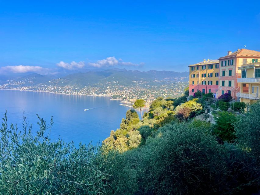 San Fruttuoso Di Camogli, Hike in Portofino Park - Experience