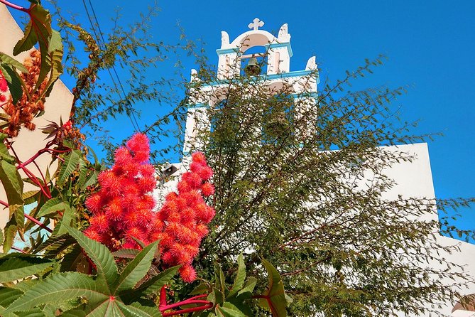 Santorini Day Tour With Sunset in Oia - Maximum Group Size and Experience