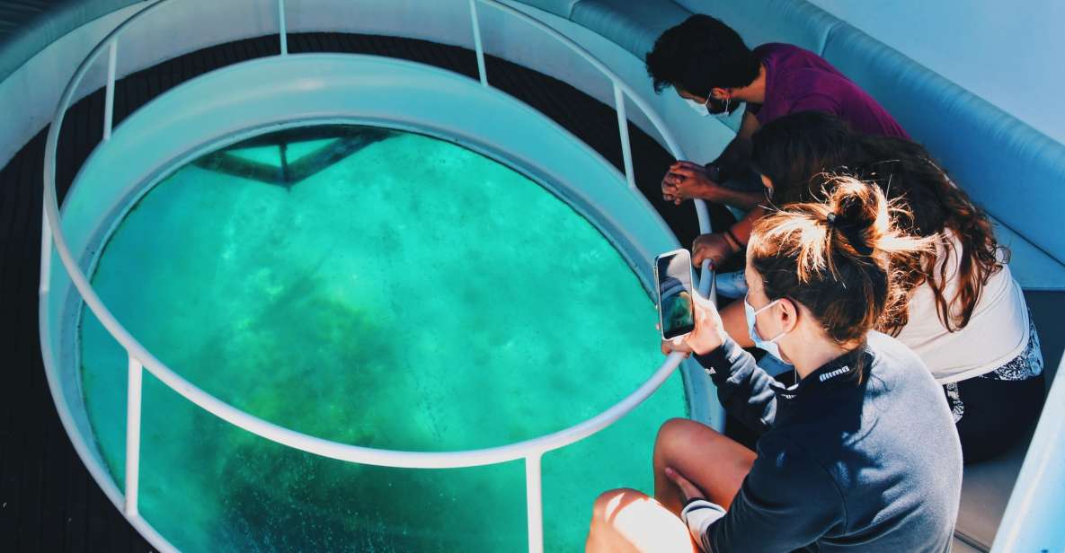 São Miguel: Glass Bottom Boat Tour With Snorkeling - Provider Information