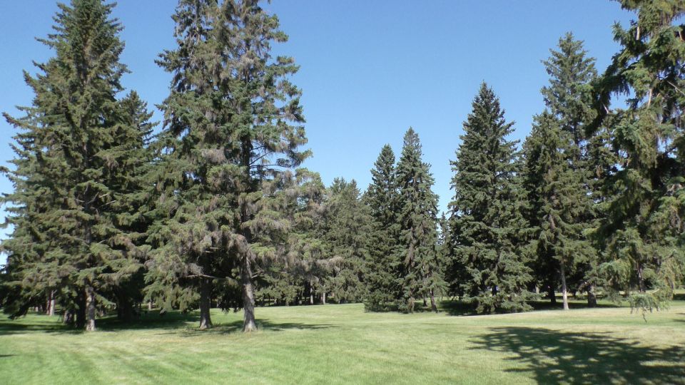 Saskatoon: Birdwatching Tour in President Murray Park - Accessibility and Group Type