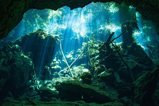Scuba Diving in Cenote Kukulkan From Playa Del Carmen - Common questions