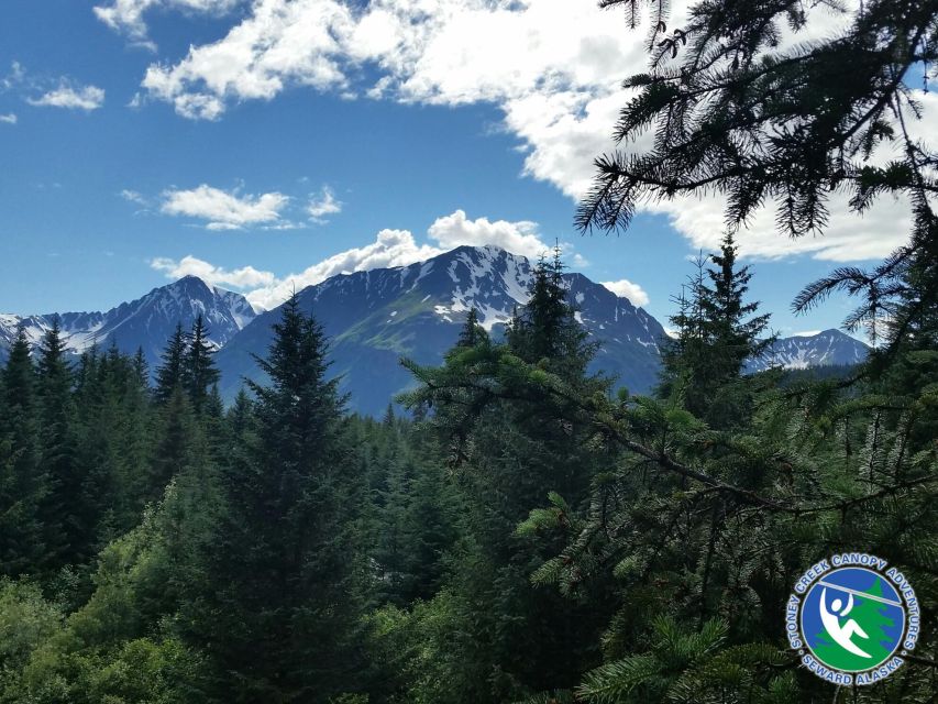 Seward: Stoney Creek Canopy Adventure - Final Words