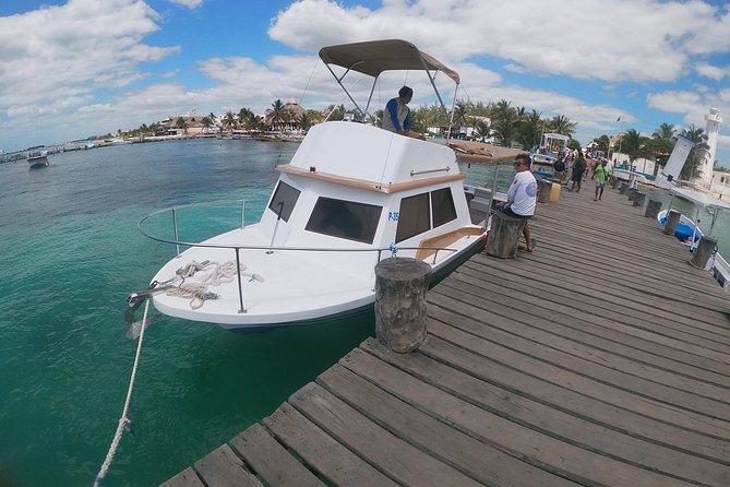 Snorkeling Adventure in Puerto Morelos Includes Snack, Water and Round Trip. - Beach Club Taco Lunch