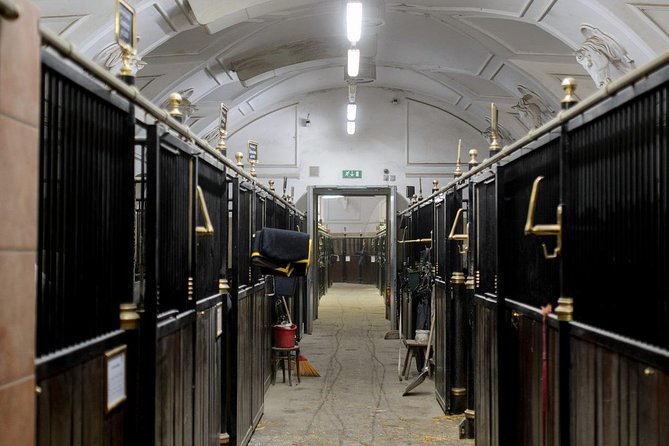 Spanish Riding School Vienna Architecture Tour - Stables and Horses