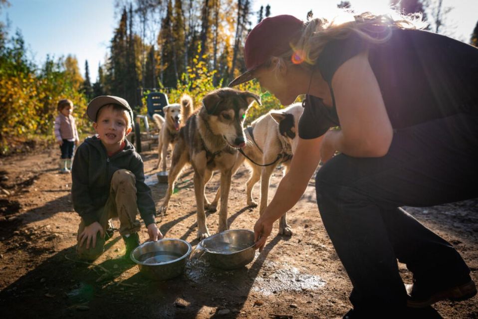 Talkeetna: Mushing Experience With Iditarod Champion Dogs - Transportation and Trail Experience