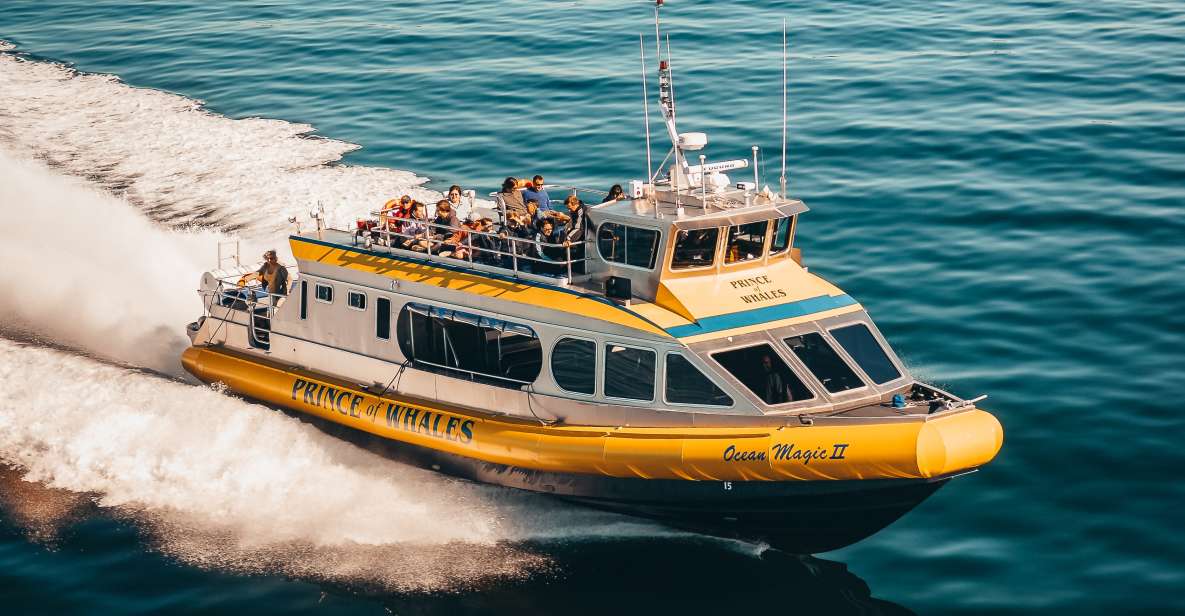 Telegraph Cove: Half-Day Whale Watching Tour - Meeting Point