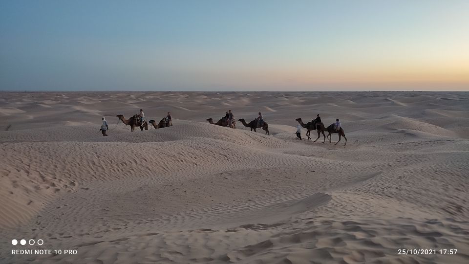 Tozeur: 2-Day Desert Overnight Stay in a Tent & Camel Trek - Highlights and Languages