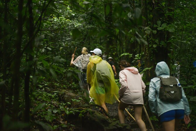 Tropical Rainforest, Hanging Bridges And Jungle Sloths Sanctuary - Traveler Experience