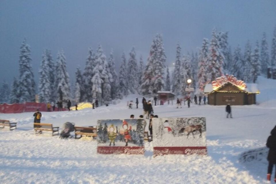 Vancouver Capilano Canyon Light&Peak of Christmas in Grouse - Tour Highlights