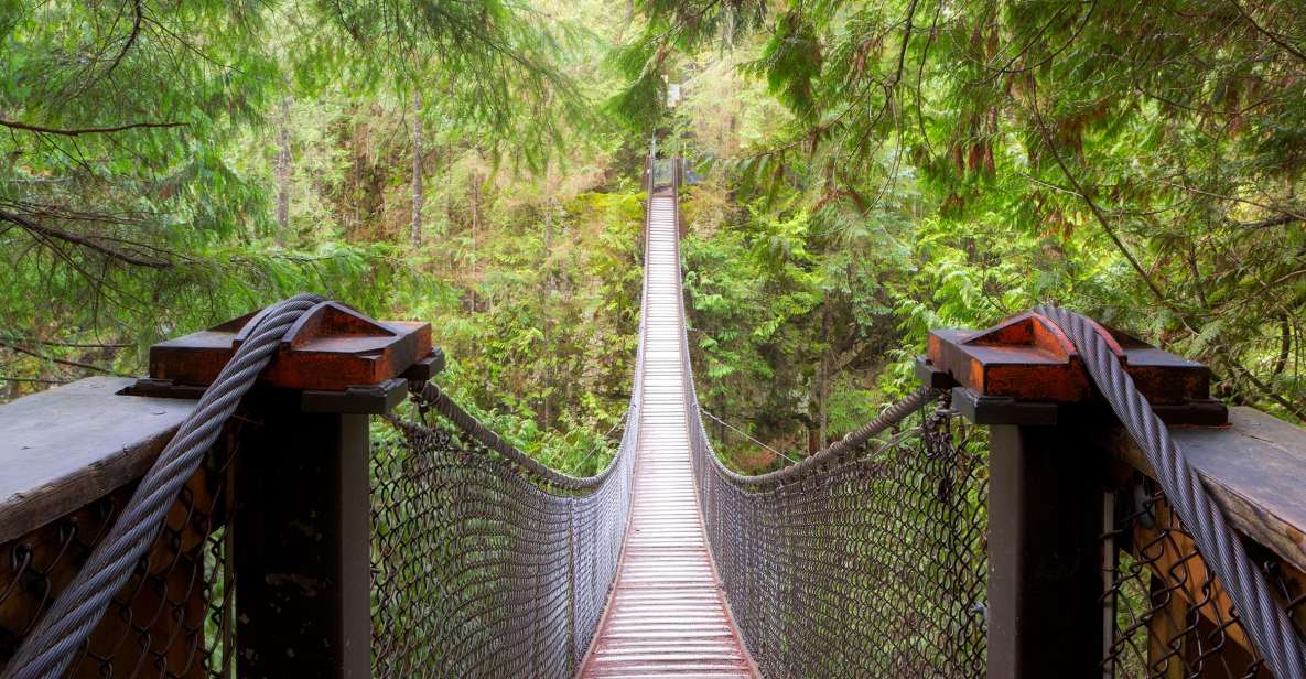 Vancouver: Lynn Valley Suspension Bridge & Nature Walk Tour - Group Size and Language Options