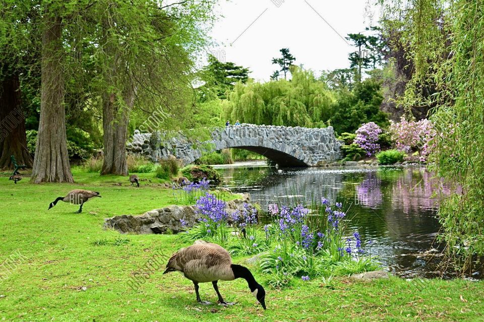 Victoria: 2-Hour History and Highlights Bike Tour - Description