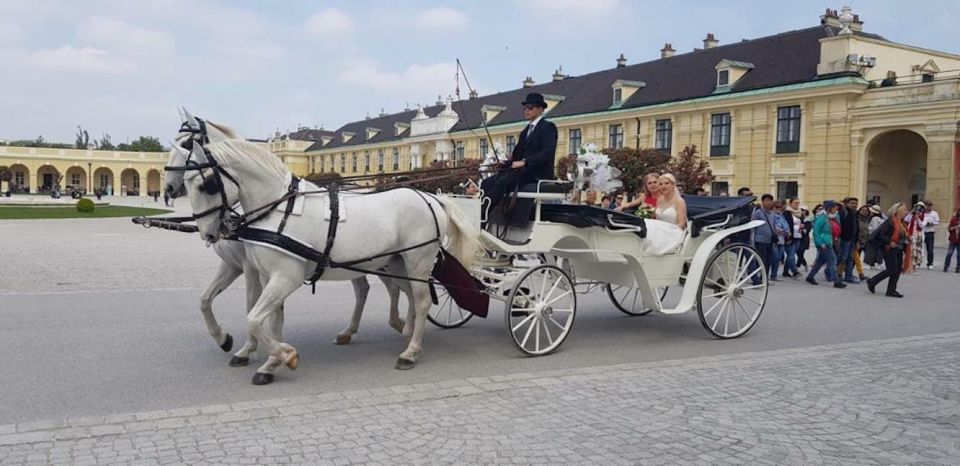 Vienna: Carriage Ride Through Schönbrunn Palace Gardens - Meet the Original Viennese Fiaker