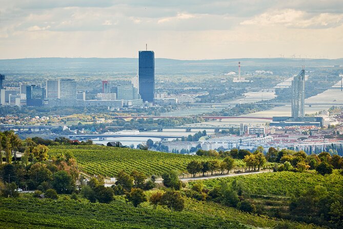 Vienna Wine Experience - Cancellation Policy Details
