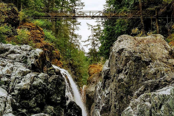 Waterfalls, Cathedral Grove Rainforest, and Coombs Adventure With Hiking - Traveler Photos