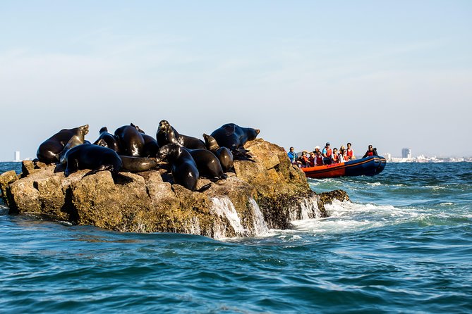 Whale Watching - Punctuality and Service Excellence