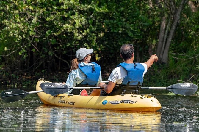 Wild & Scenic Loxahatchee River Guided Tour - Wildlife Encountered