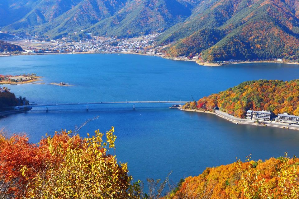1-Day Trip: Mt Fuji Kawaguchi Lake Area - Reservation and Pricing Details