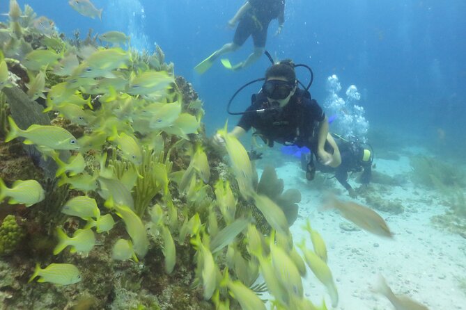 1st Life Experience Scuba Diving in Cancun FREE Photos/Videos - Cancellation Policy