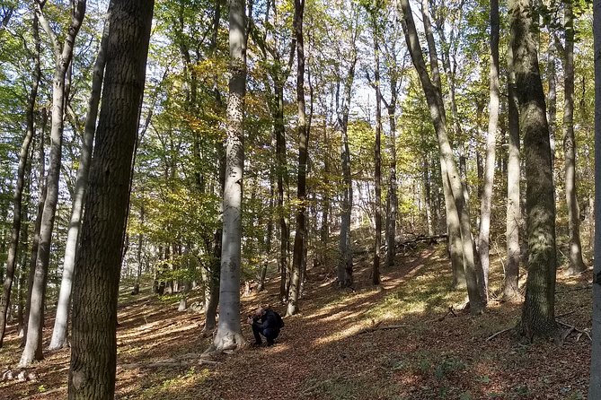 3-Hour Private Hiking Tour Over Parapluie Mountain With a View of Vienna - Reviews and Support