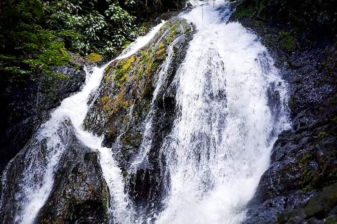 5 Hour Off-Road ATV Zipline Waterfall Rappelling Tractor Jungle Tour - Adventure Activities Feedback