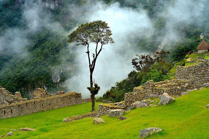 6-Day Cultural Tour to Machu Picchu - Reviews