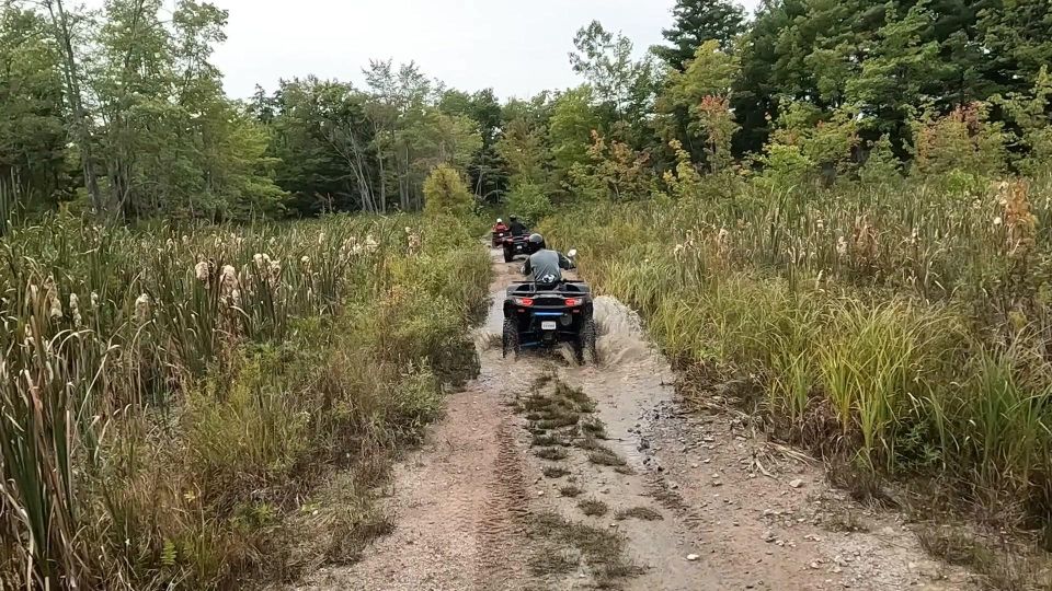90 Mintue Guided ATV Adventure Tours - Meeting Point