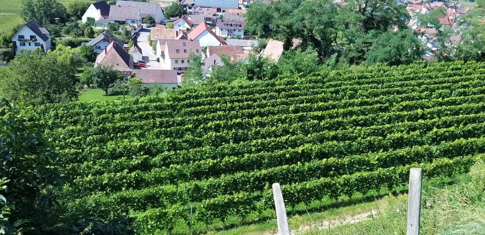 Alsace: Private Wine Tour - Final Words