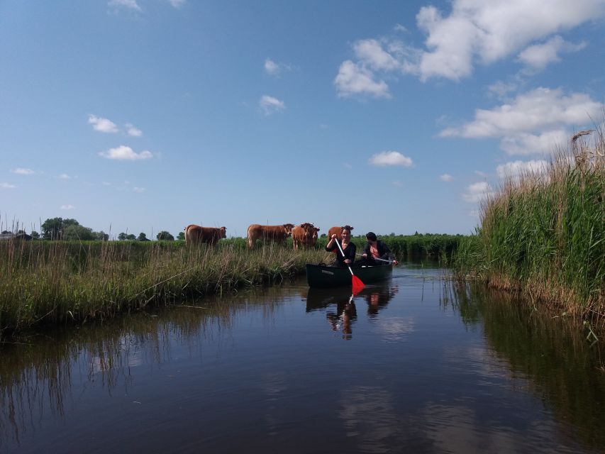 Amsterdam: Dutch Countryside Sunset Canoe Tour - Customer Reviews