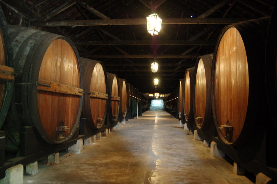 Arrábida: Private Wine Tour With Wine & Cheese Tasting - Customer Reviews