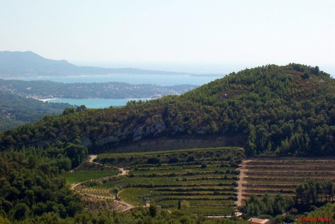 Bandol Wine Tour - 4 Hour Private Tour - Booking and Confirmation