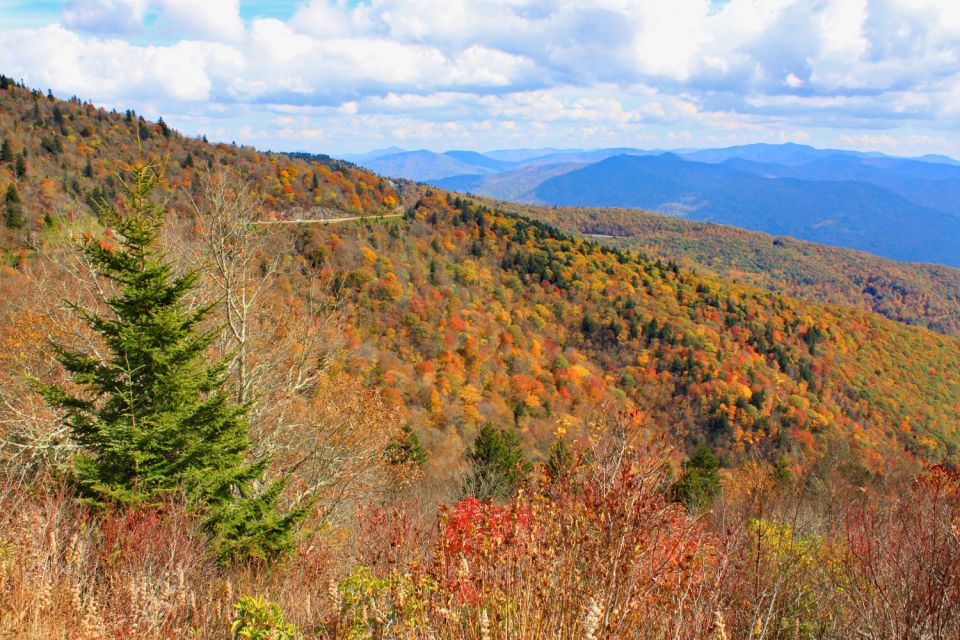 Blue Ridge Parkway: Cherokee to Asheville Driving App Tour - Included