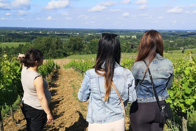 Bordeaux: the Vineyard off the Beaten Track - Offbeat Wine Routes in Bordeaux