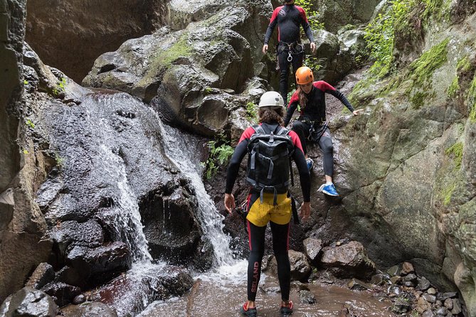 Canyoning With Waterfalls in the Rainforest - Small Groups ツ - Booking Confirmation and Recommendations