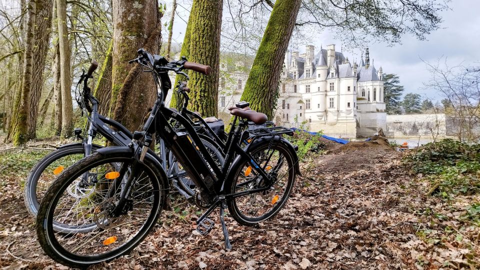 Chenonceau: Guided Ebike Ride and Wine & Cheese Picnic Lunch - Restrictions