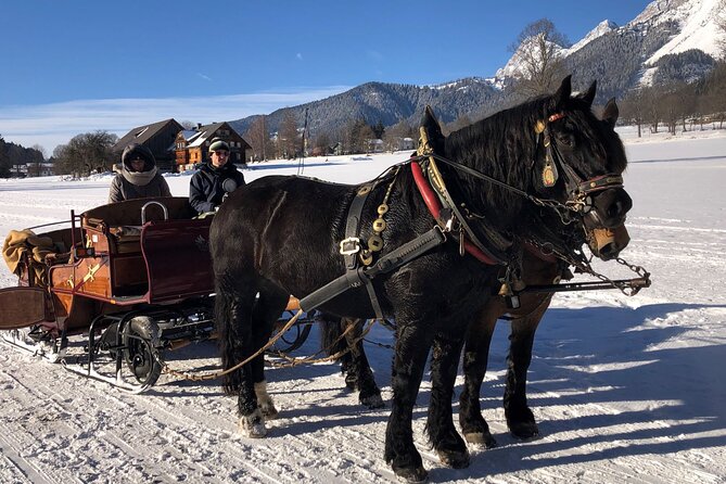 Christmas Horse-Drawn Sleigh Ride From Salzburg - Memorable Moments