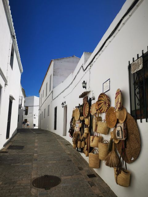 Coastal White Villages and Beaches Private Tour From Seville - Itinerary Overview