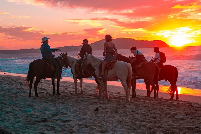 Combo Horseback Beach Ride & ATV Adventure in Los Cabos - Guide Appreciation