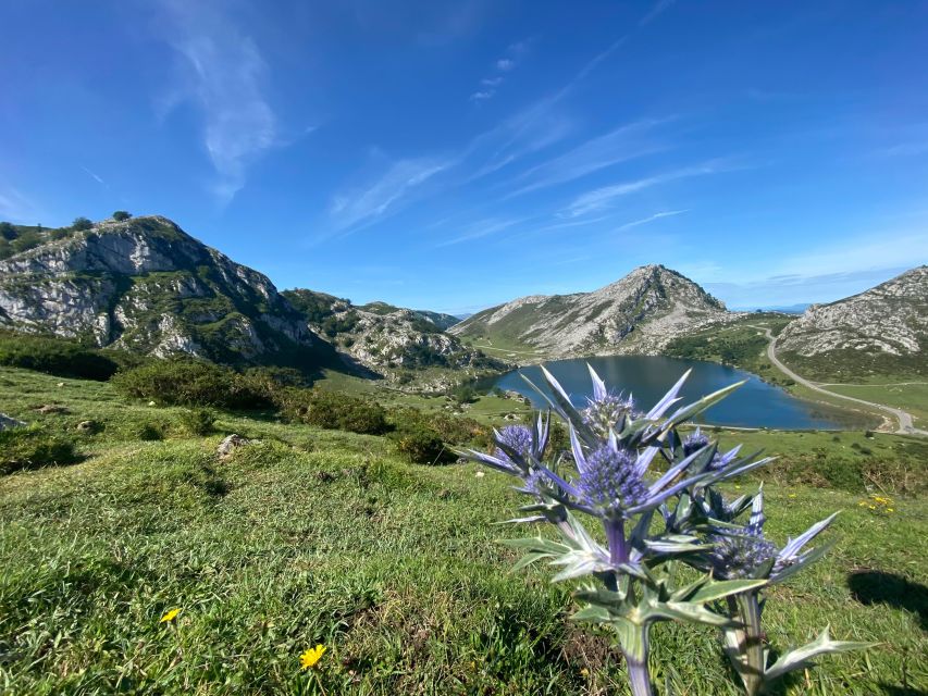 Covadonga and Lakes and Occidental Coast Private Tour - Customer Reviews